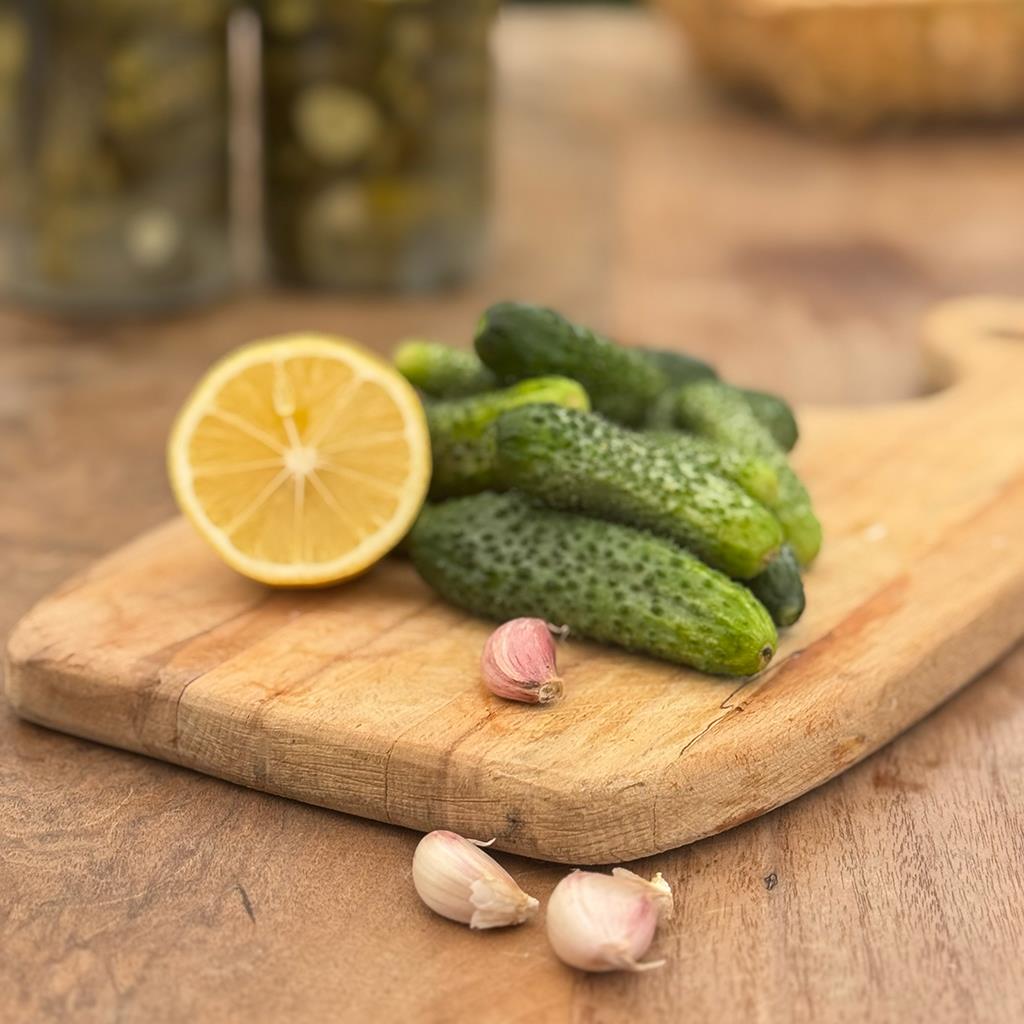Kornişon ( 1 Kg.)