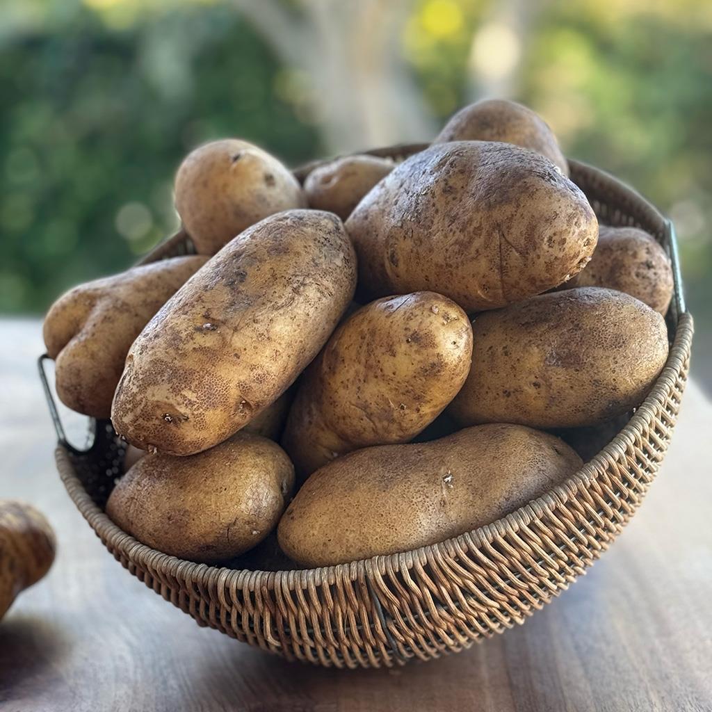 Patates (1 KG.)