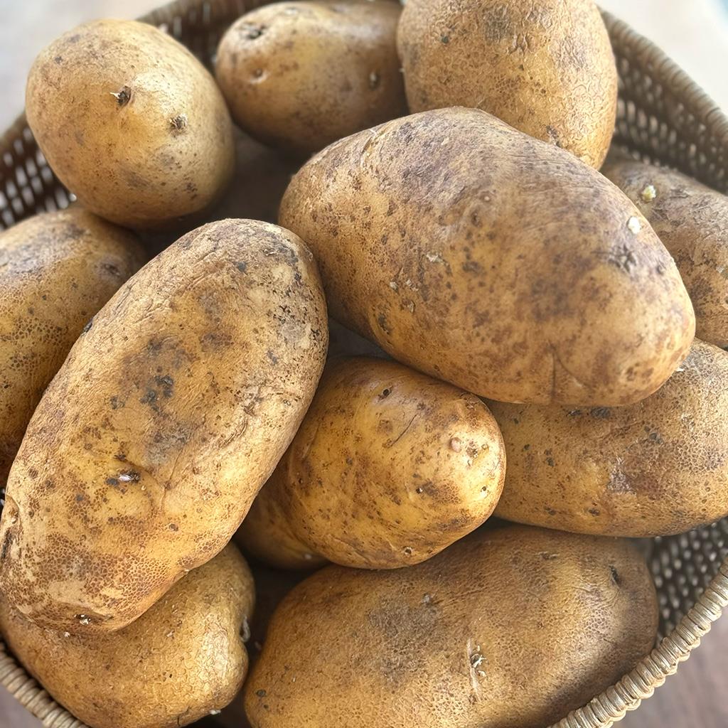 Patates (1 KG.)