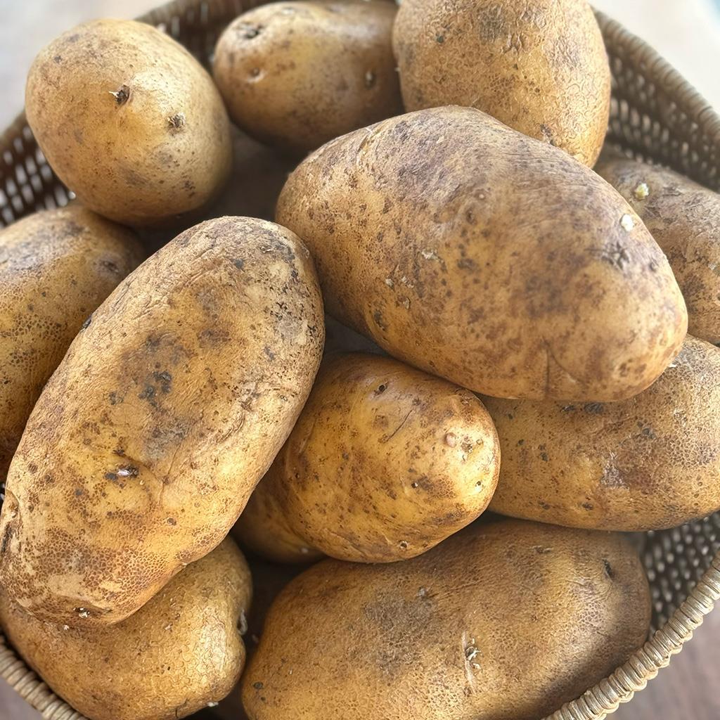 Patates (1 KG.)