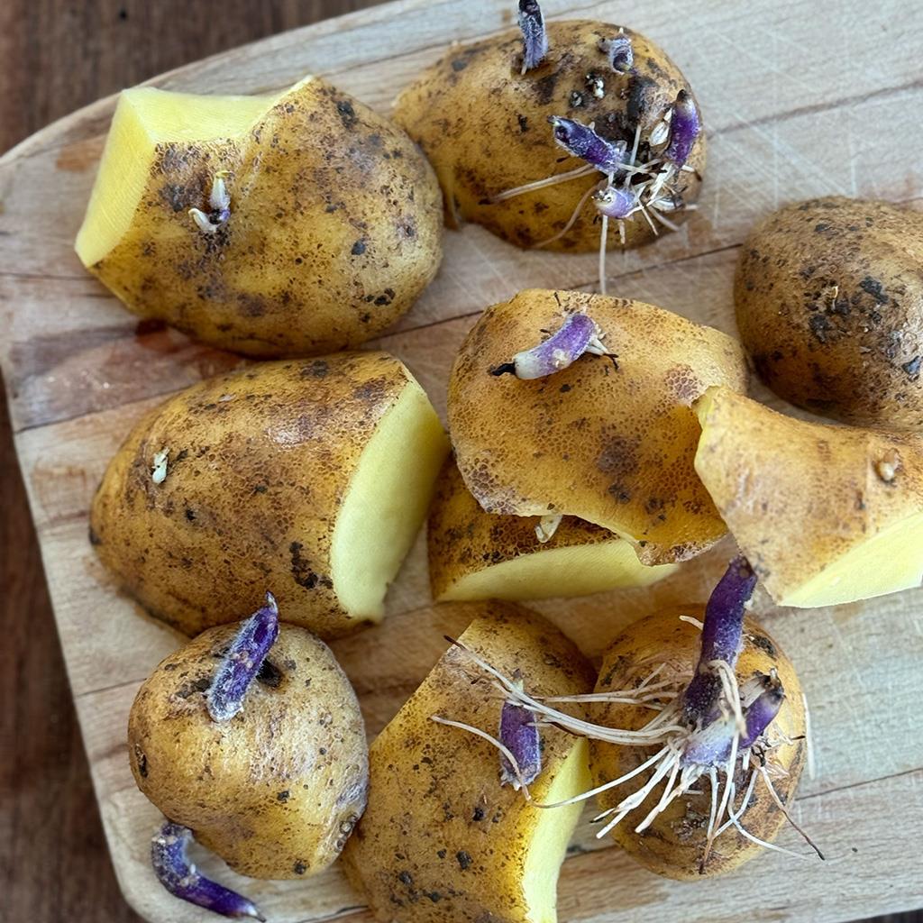 Patates Fidesi (1 KG.)