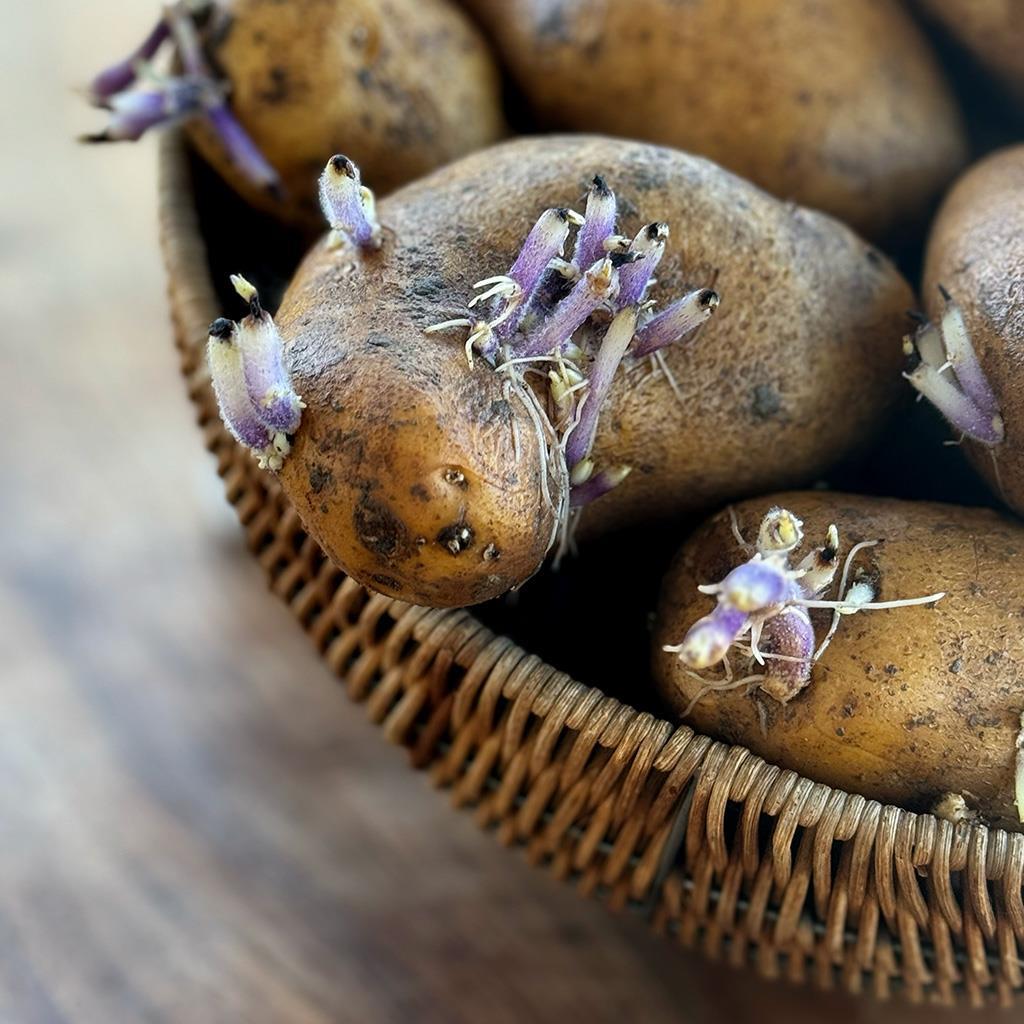 Patates Fidesi (1 KG.)