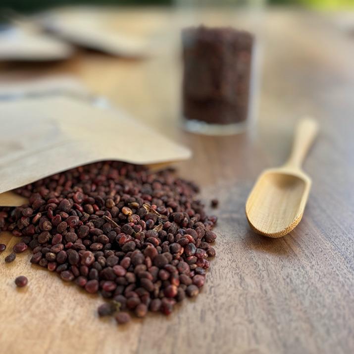 Tane Sumak 100 Gr. (Ata Tohumu)