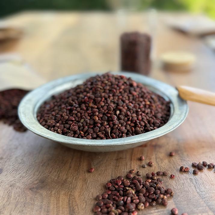 Tane Sumak 100 Gr. (Ata Tohumu)