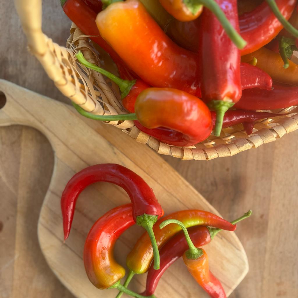 Tatlı Çarliston Biber (1 Kg.)
