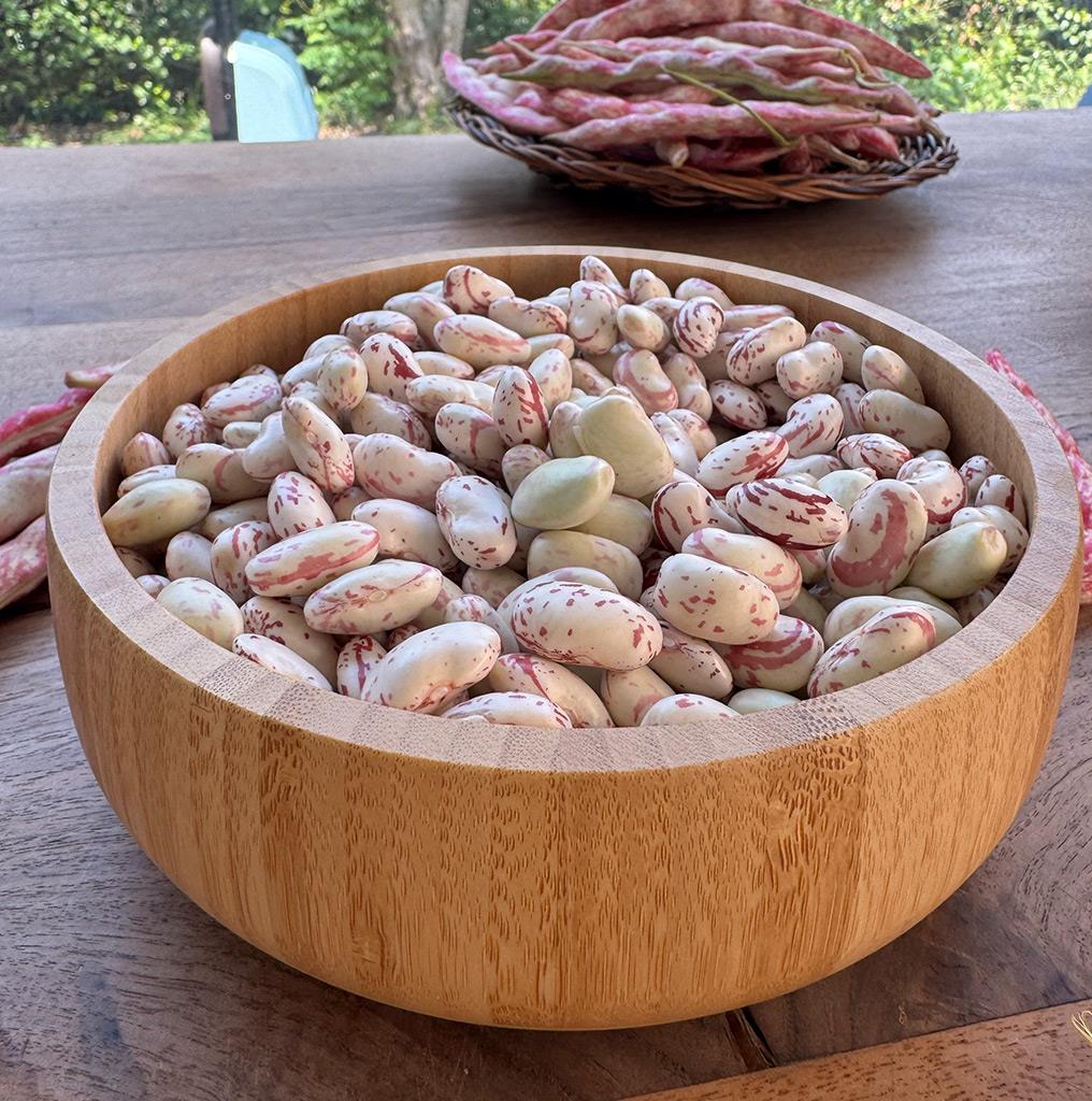 Taze Yayla Barbunyası (1 Kg.)
