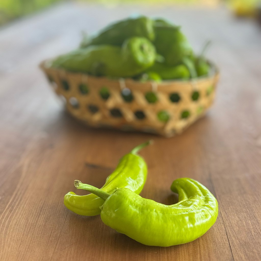 Üç Burun Köy Biberi (1 Kg.)
