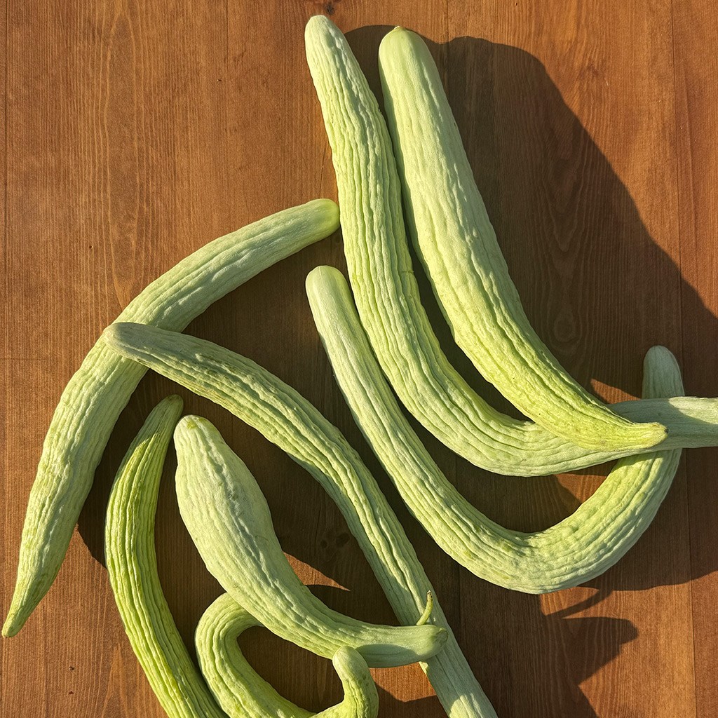 Uzun Ömer Yerli Acur ( 1 Kg.)