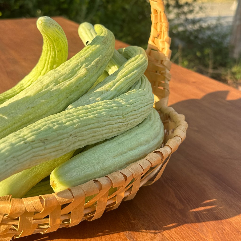 Uzun Ömer Yerli Acur ( 1 Kg.)