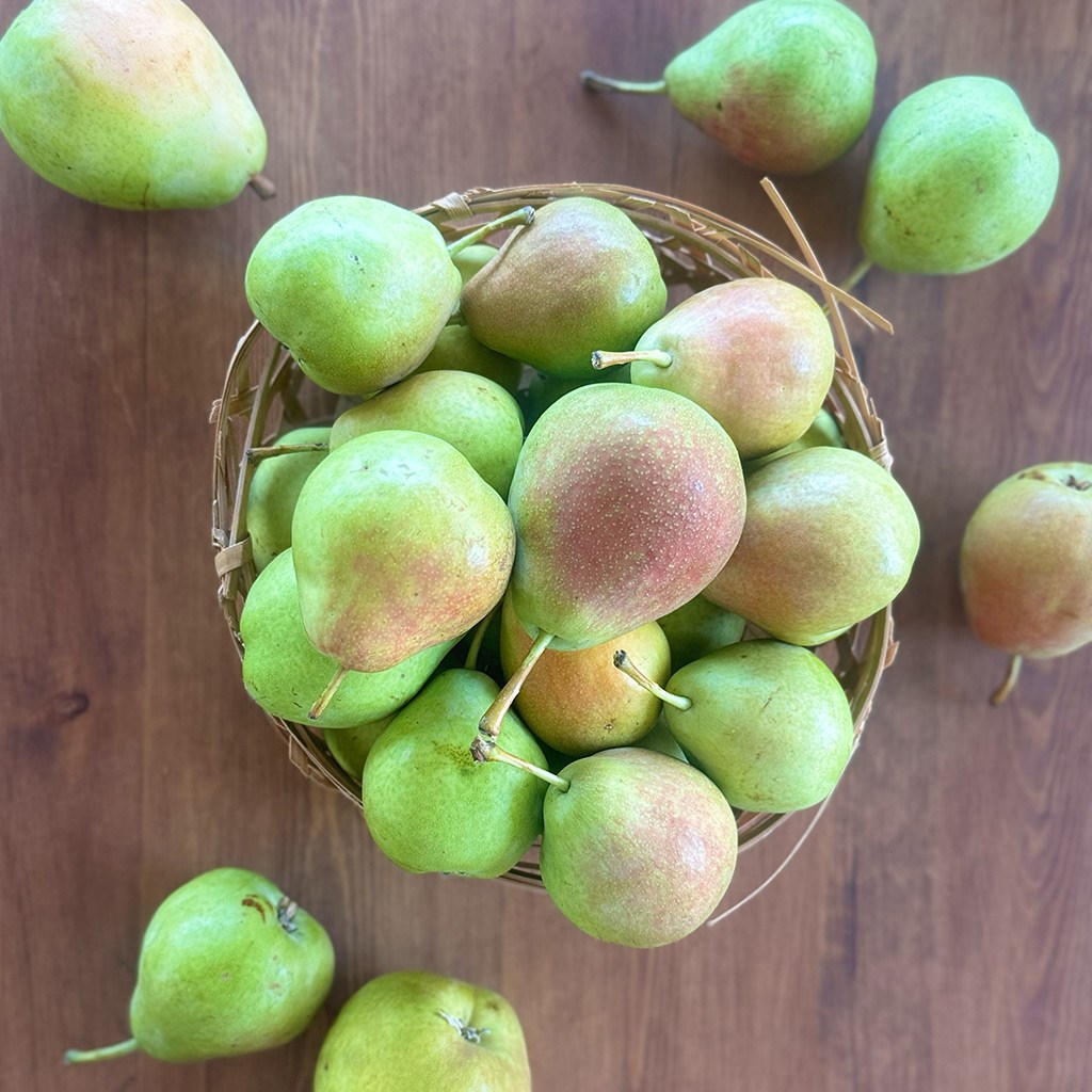 Yayla Armudu (1 Kg.)