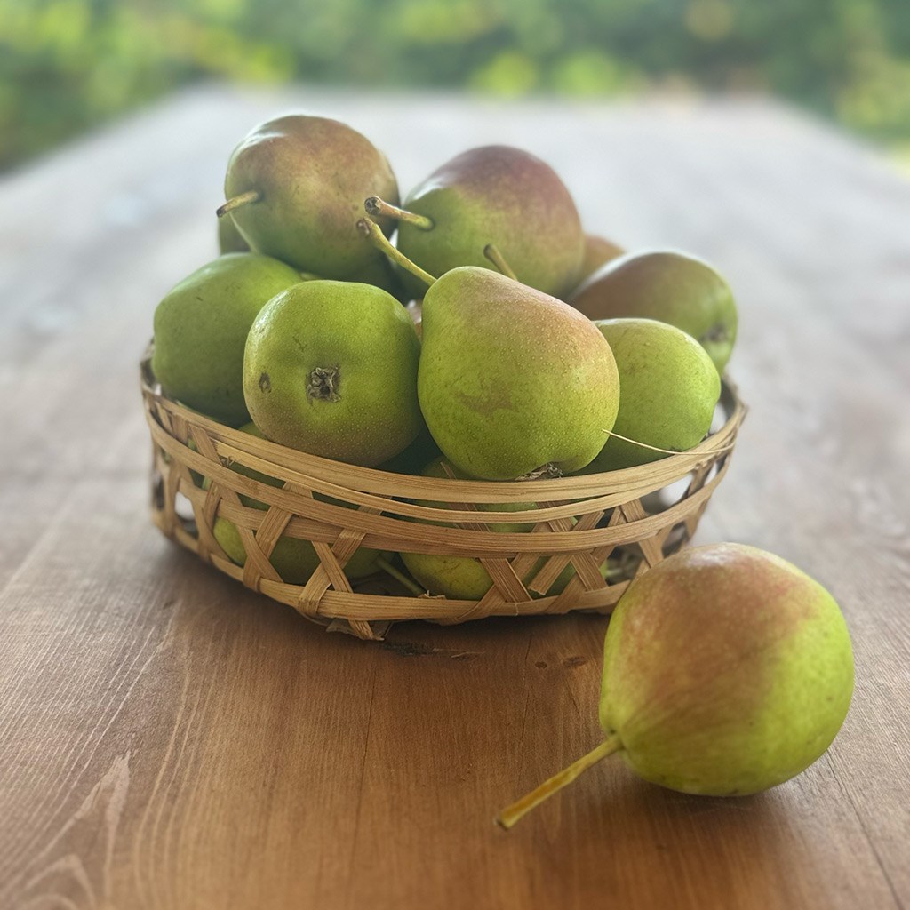 Yayla Armudu (1 Kg.)
