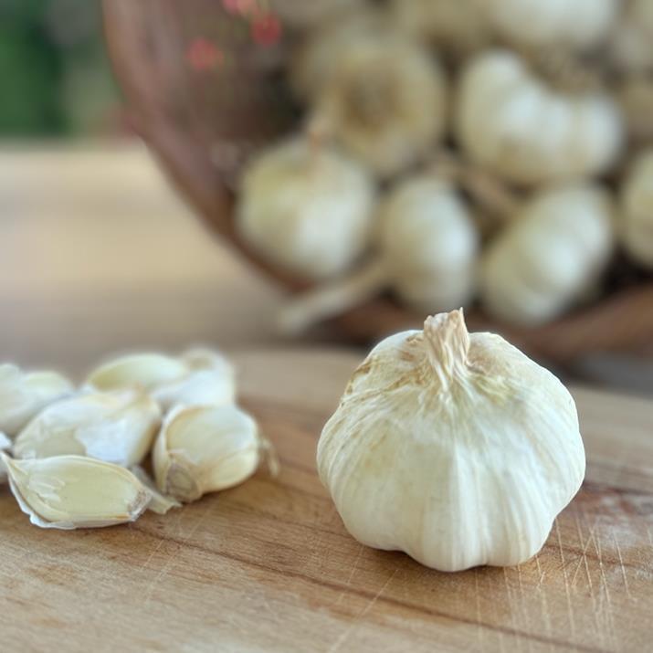Yayla Sarımsağı (500 Gr.)