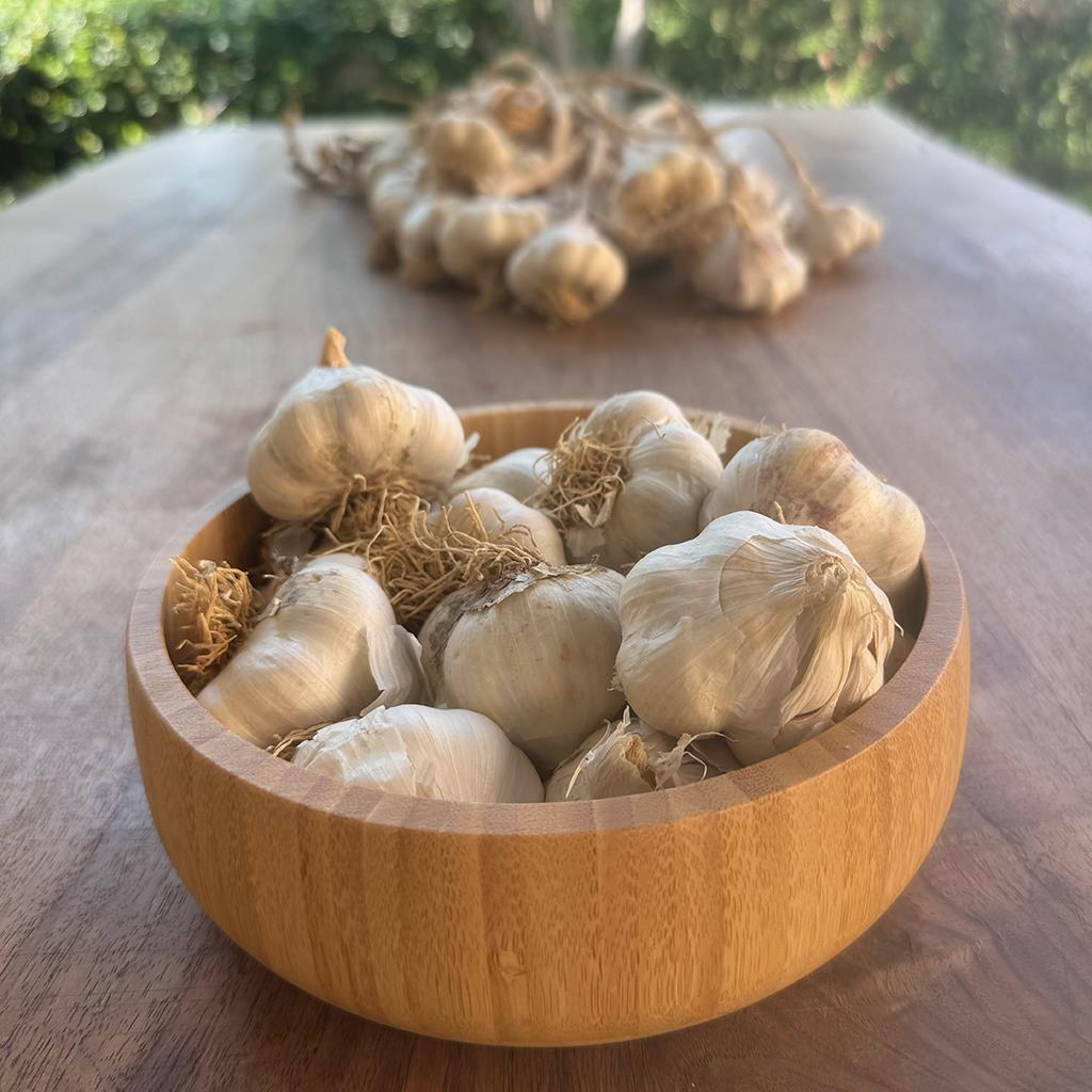Yayla Sarımsağı (500 Gr.)
