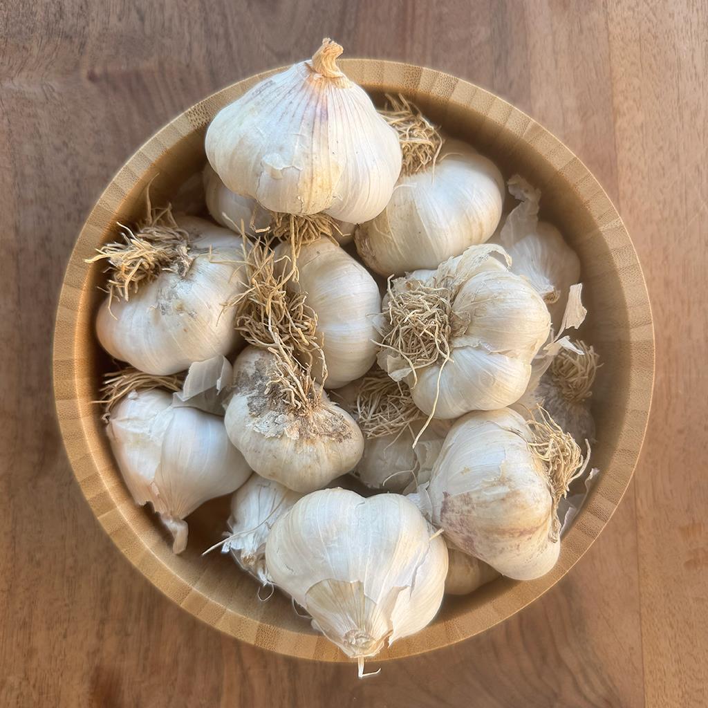 Yayla Sarımsağı (500 Gr.)