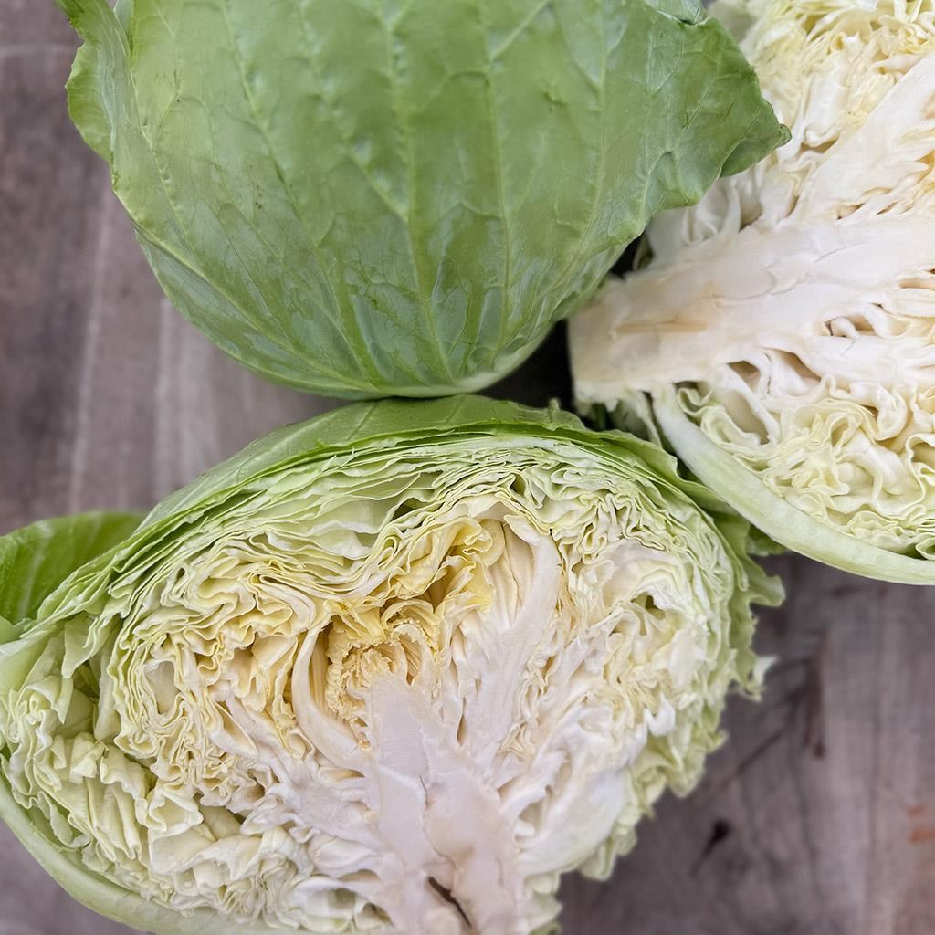 Yerli Beyaz Lahana (2-3 Kg arası)