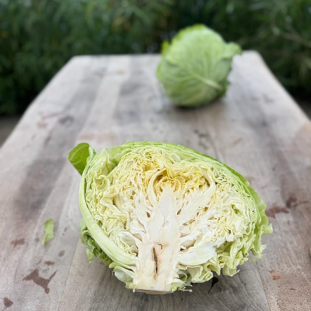 Yerli Beyaz Lahana (2-3 Kg arası)