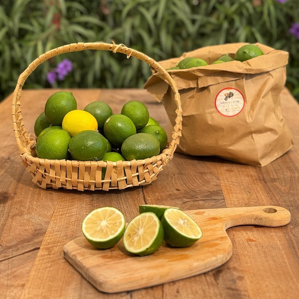 Yerli Limon (1 Kg.)