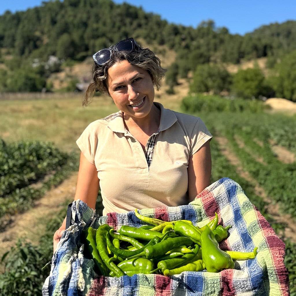 Yerli Tatlı Karışık Biber Çeşitleri (1 Kg.)