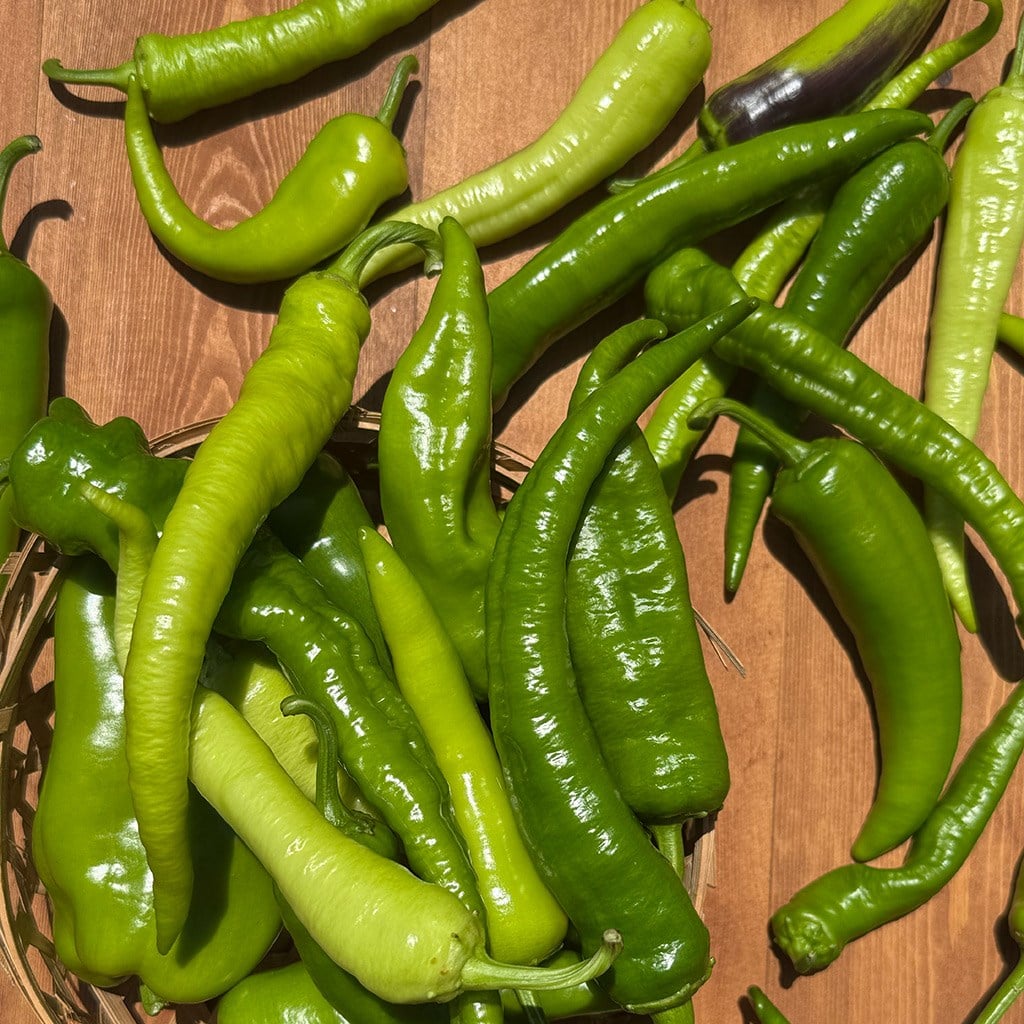 Yerli Tatlı Karışık Biber Çeşitleri (1 Kg.)