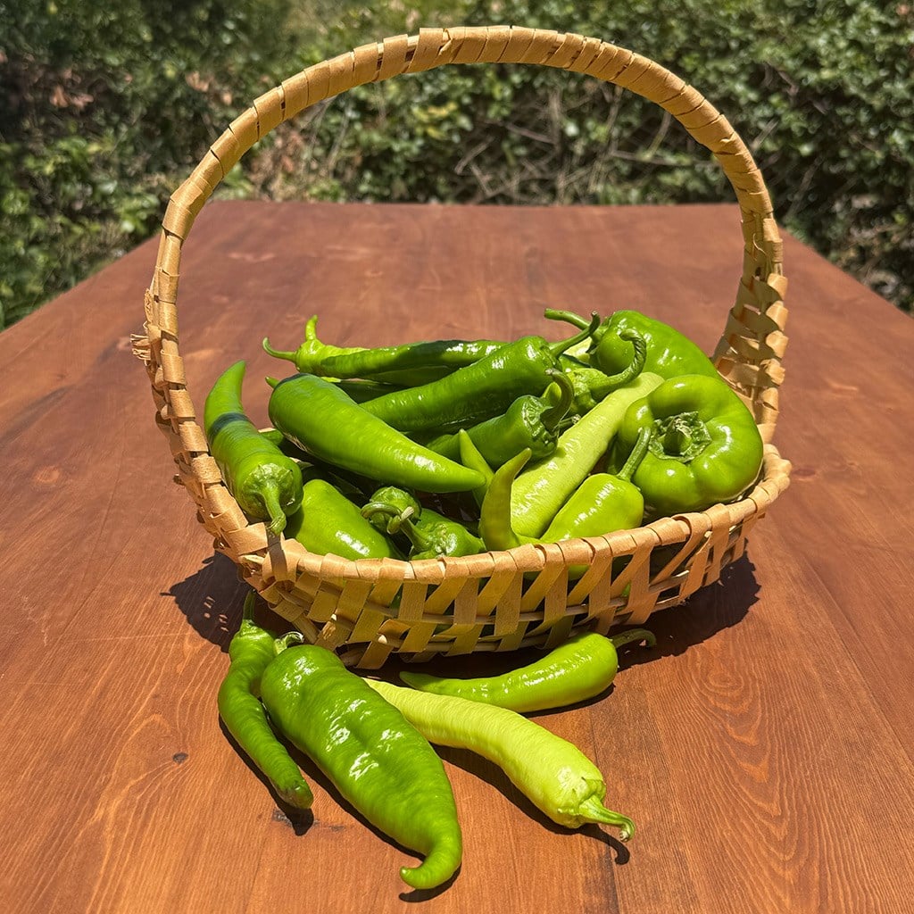 Yerli Tatlı Karışık Biber Çeşitleri (1 Kg.)