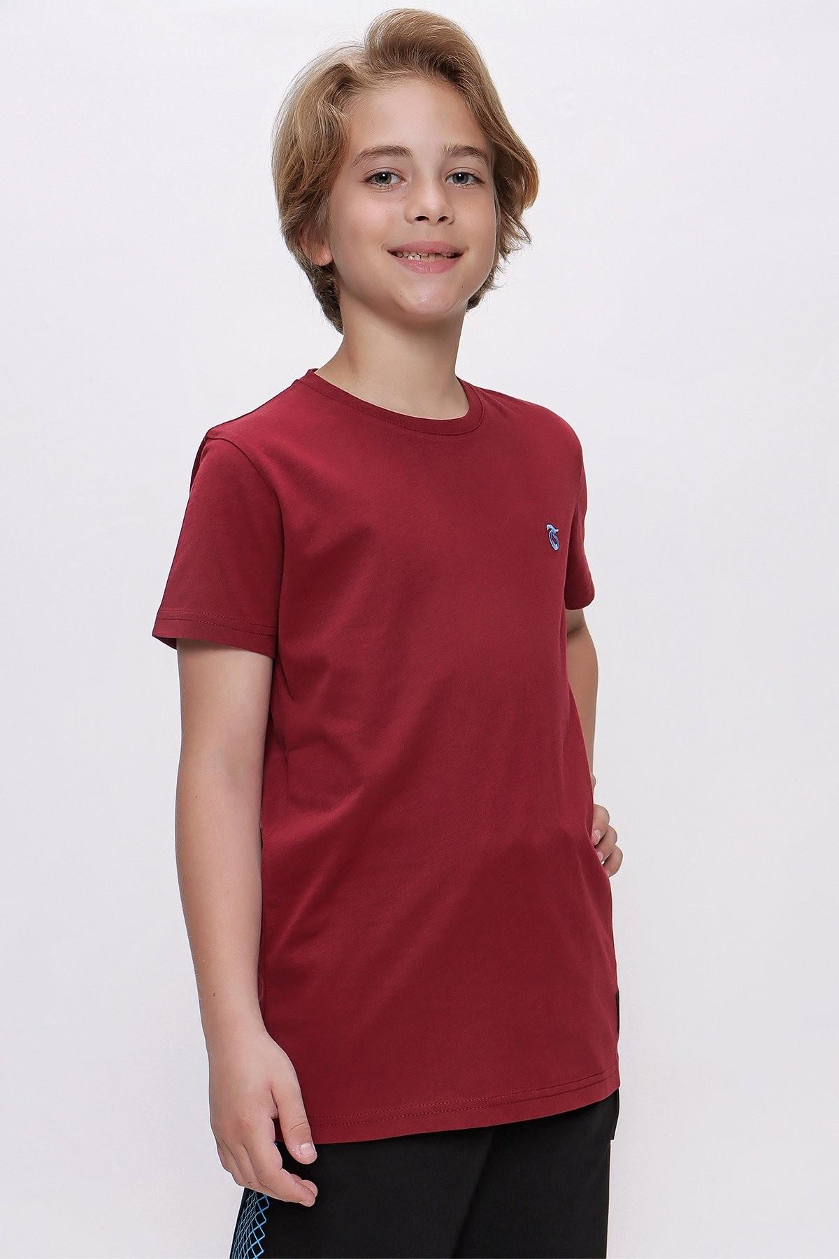 TSHİRT BİSİKLET YAKA İÇ LOGOLU