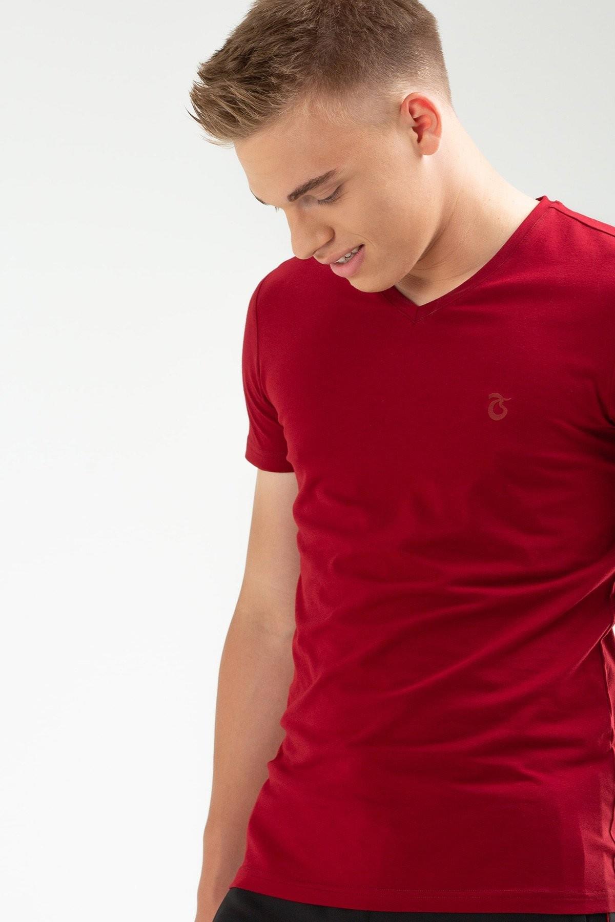 tshirt-v-yaka-basic--4c6d-.jpg