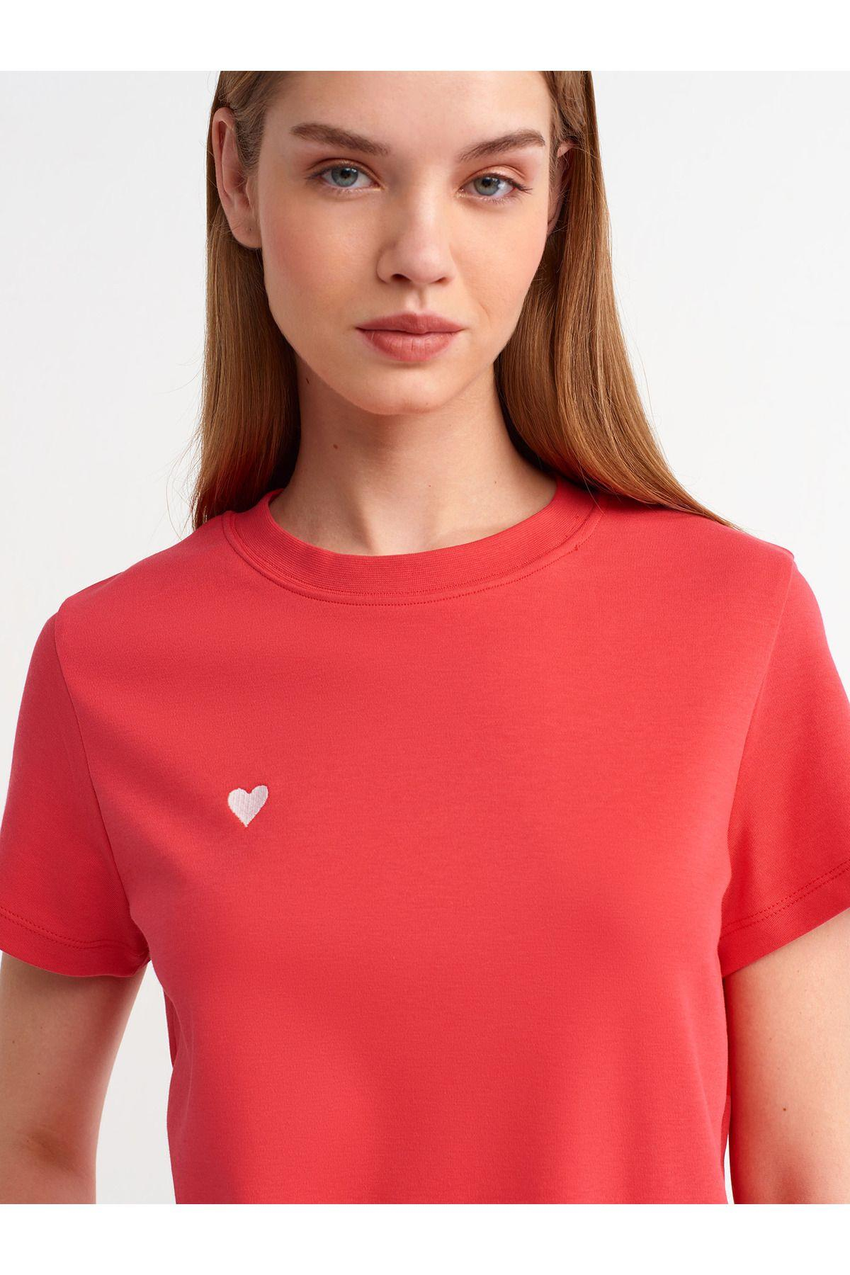 30584-bisiklet-yaka-pamuklu-t-shirt-a-a68d-4.jpg