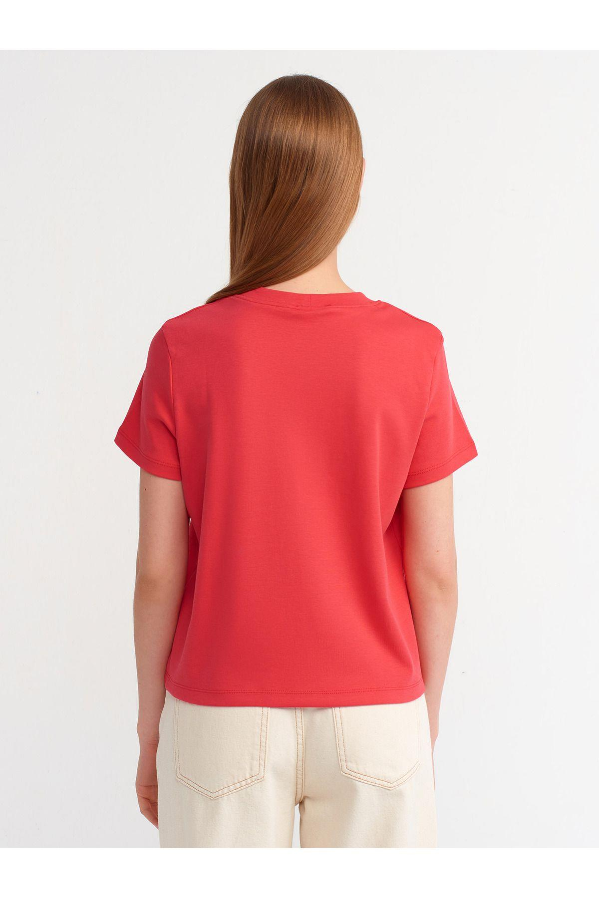 30584-bisiklet-yaka-pamuklu-t-shirt-a-ae-43b.jpg