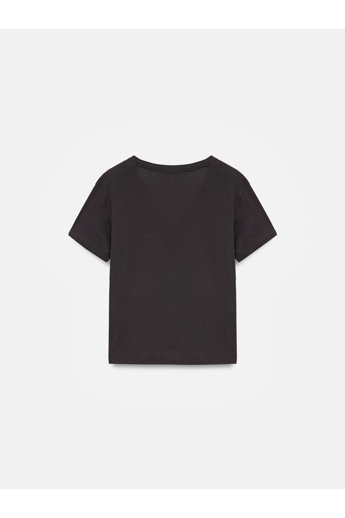 32847-lyocell-karisimli-v-yaka-t-shirt--9b27-.jpg