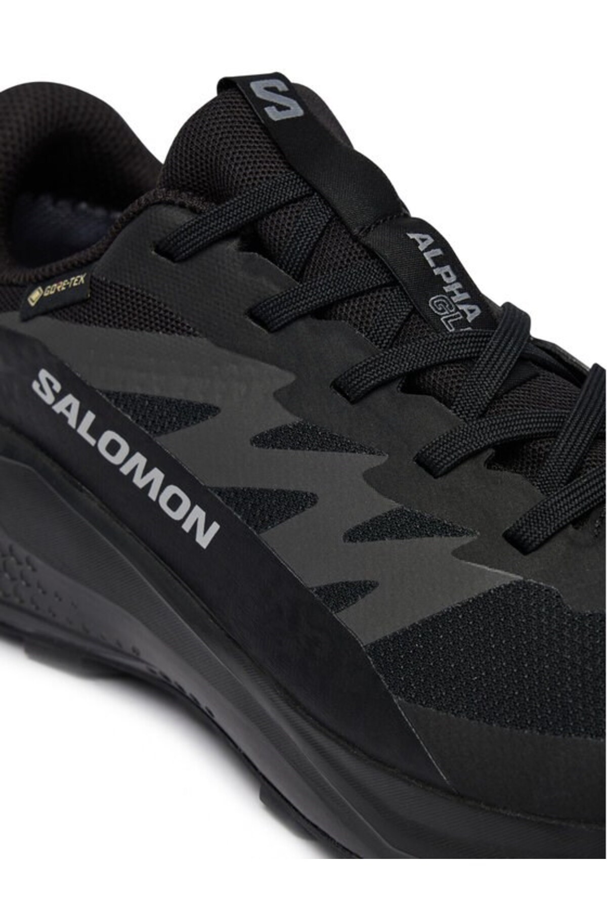 alphaglide-gtx-w-kdn-blackasphaltblack-e0-a19.jpg