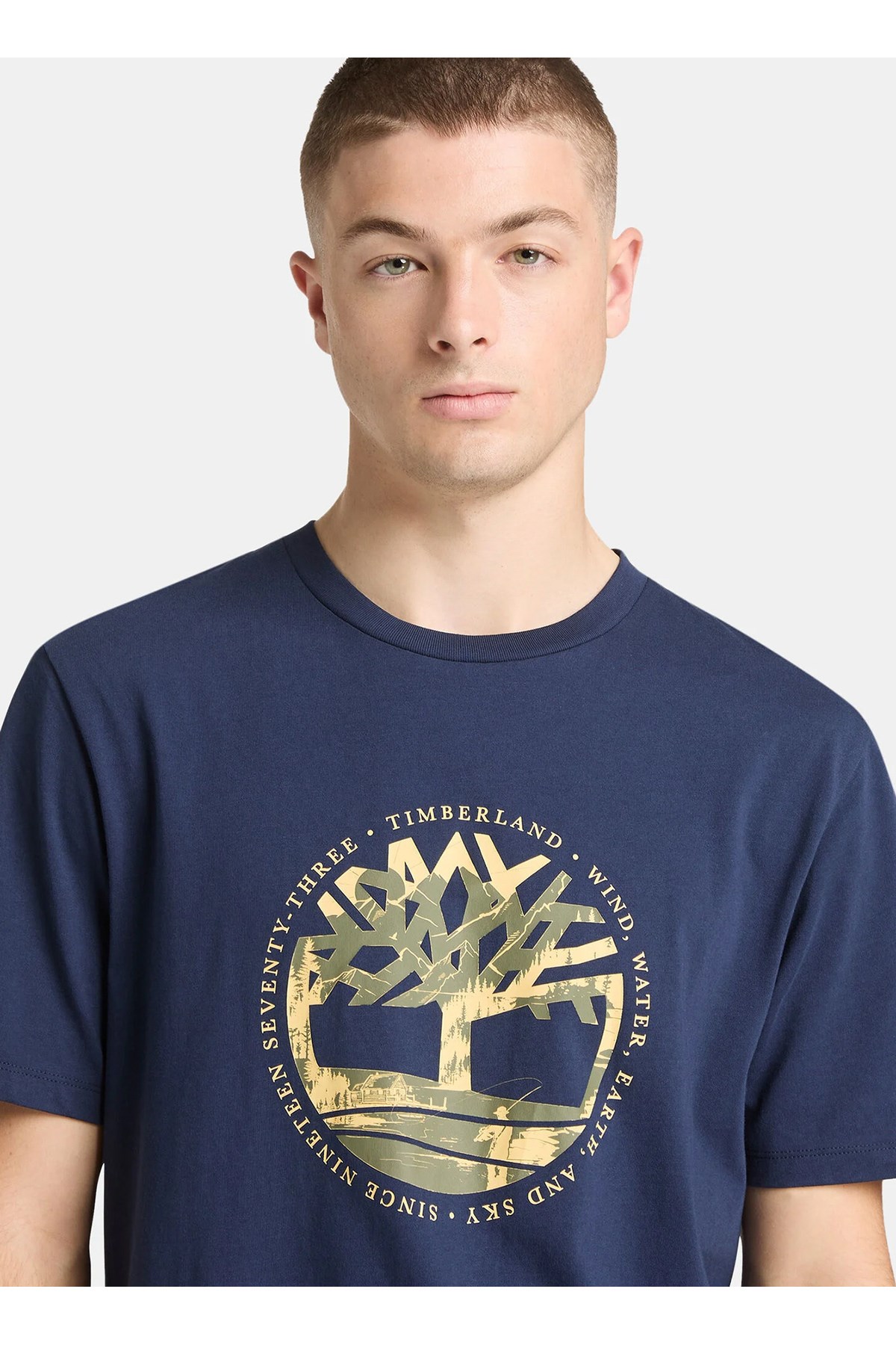 b0a5mvr4511-r-tree-logo-lake-house-gra-2b-372.jpg