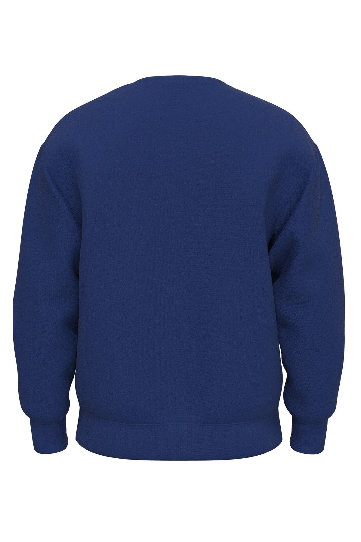 bisiklet-yaka-100-pamuk-erkek-sweat-a2-53a2da.jpg
