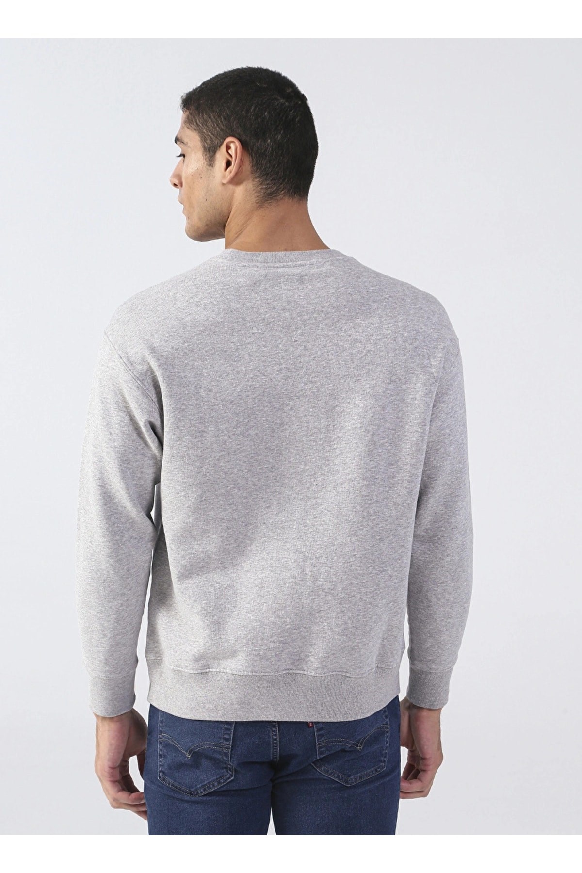 bisiklet-yaka-gri-erkek-sweatshirt-a28-1f1b-4.jpg