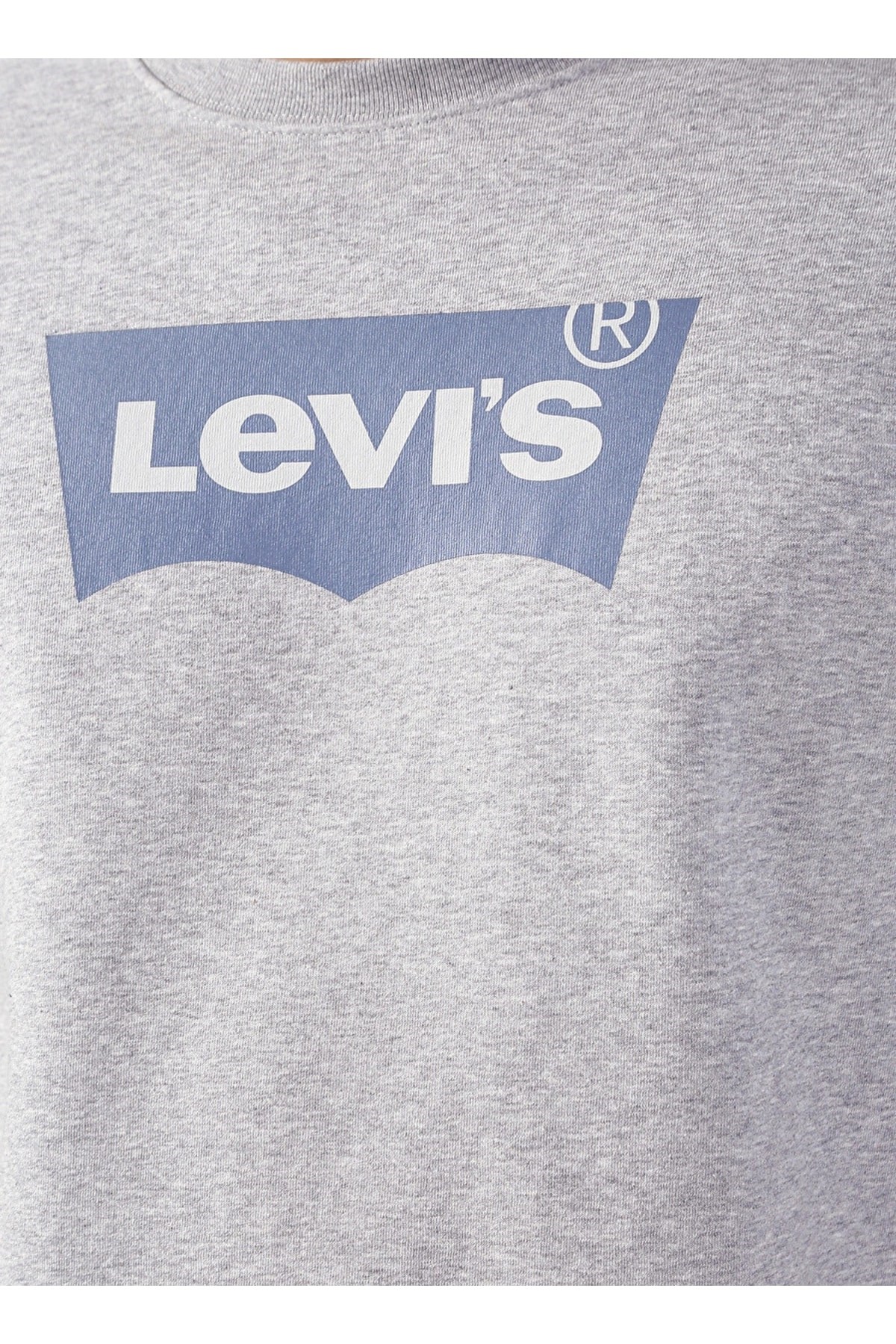 bisiklet-yaka-gri-erkek-sweatshirt-a28-2b10d9.jpg