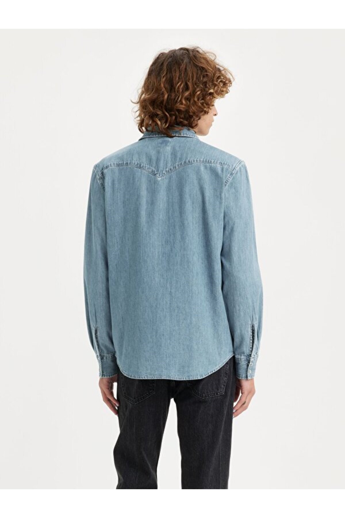 classic-western-standard-gomlek-731-b4.jpg