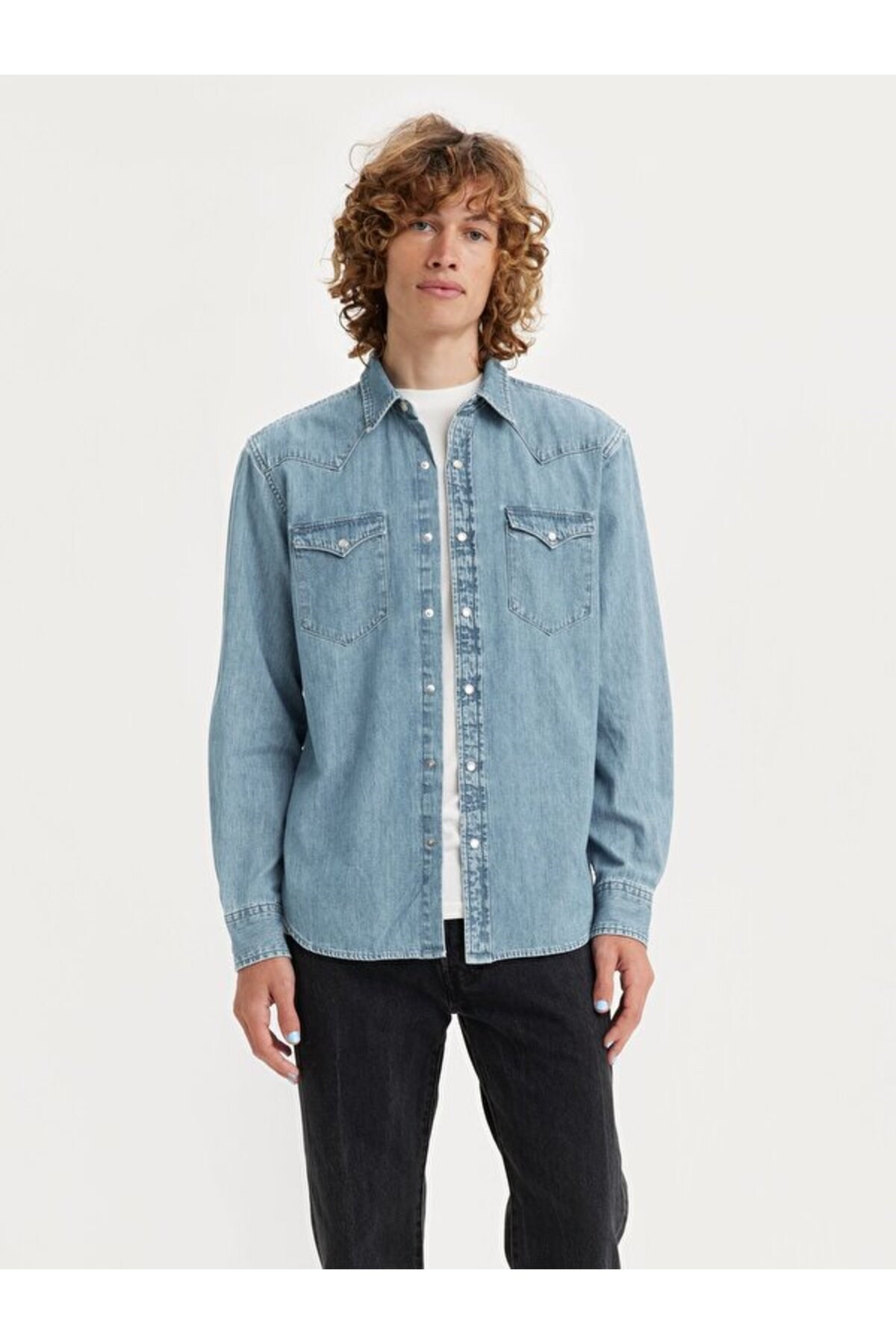 classic-western-standard-gomlek-df3831.jpg