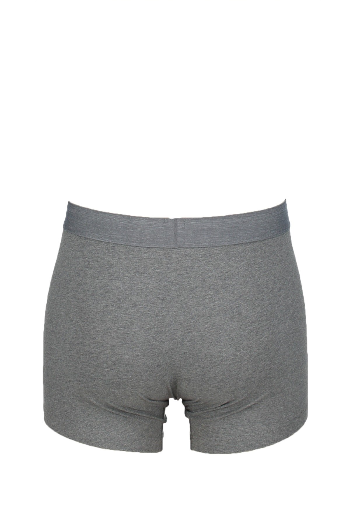 erkek-boxer-77316-0266-d0-4c4.jpg