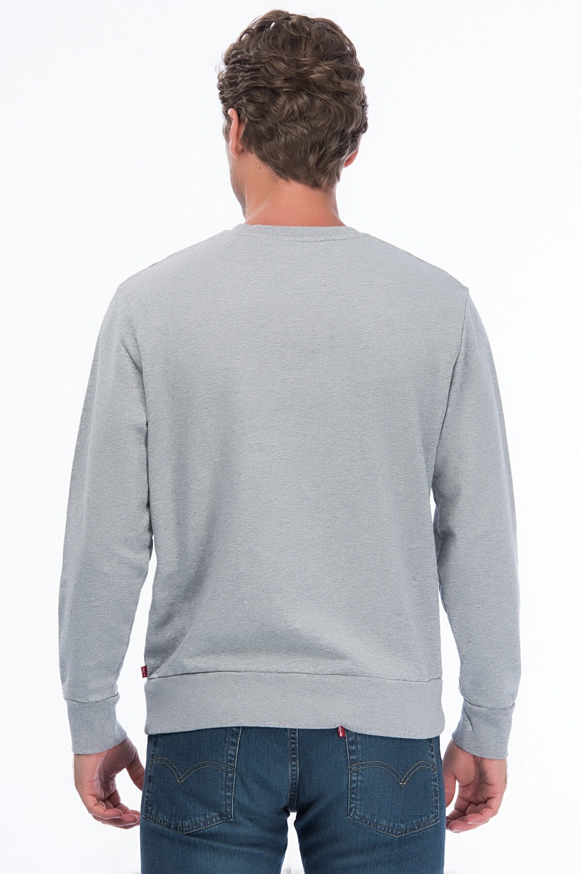 erkek-graphic-crew-housemark-sweatshir-4e69-a.jpg