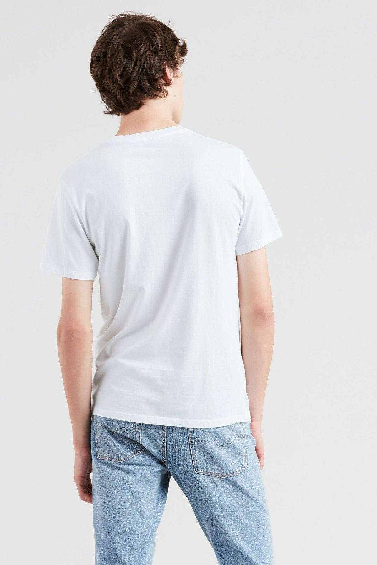 erkek-graphic-set-in-housemark-t-shirt-d-a718.jpg