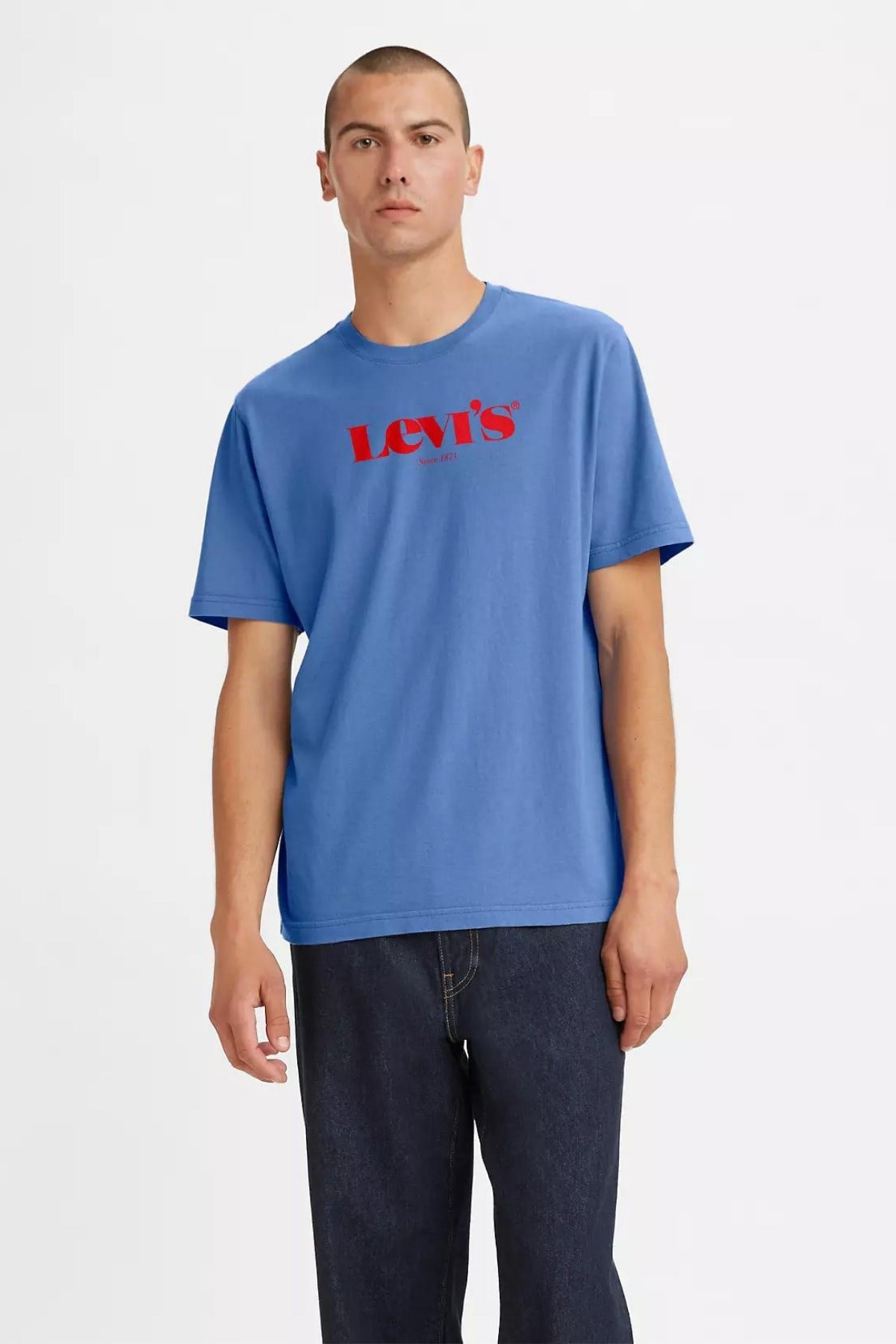 erkek-regular-mavi-t-shirt-4ef24f.jpg