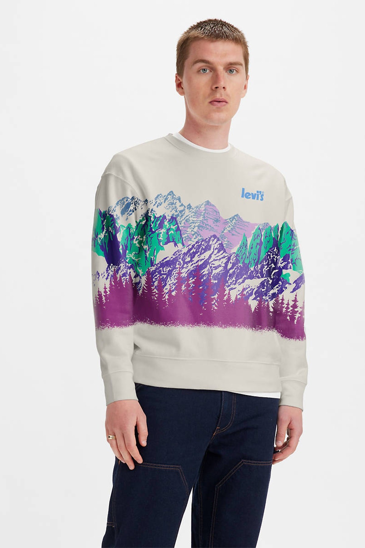 erkek-relaxed-graphic-crewneck-mountai-bd210b.jpg