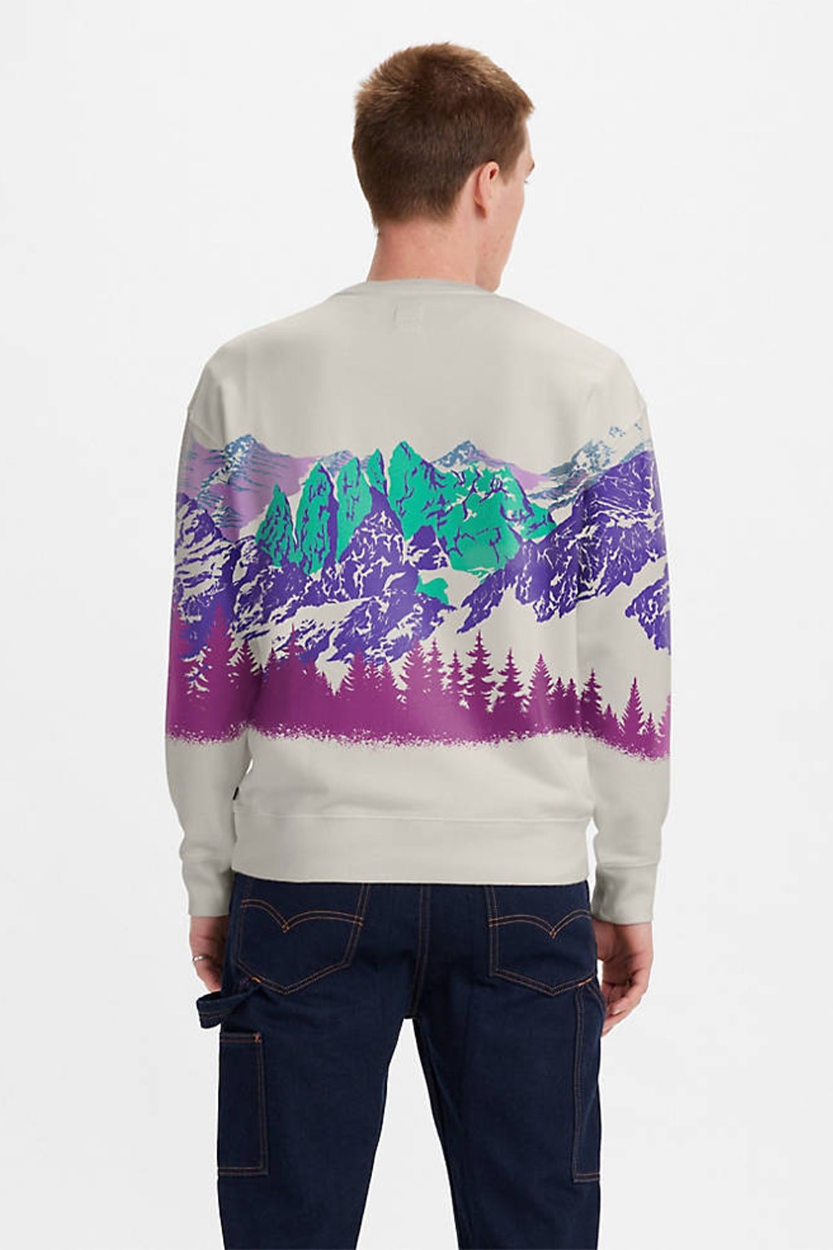 erkek-relaxed-graphic-crewneck-mountai-c-7419.jpg
