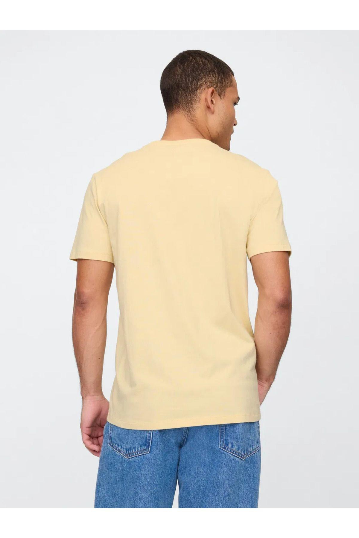 everyday-soft-gap-logo-t-shirt-sari-4d55-8.jpg