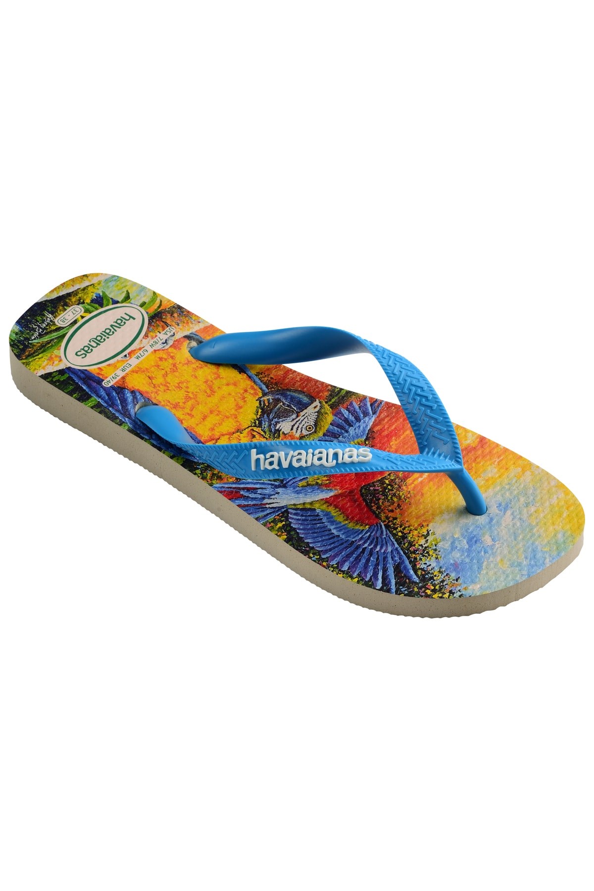 hav-d-9e21-43f.jpg