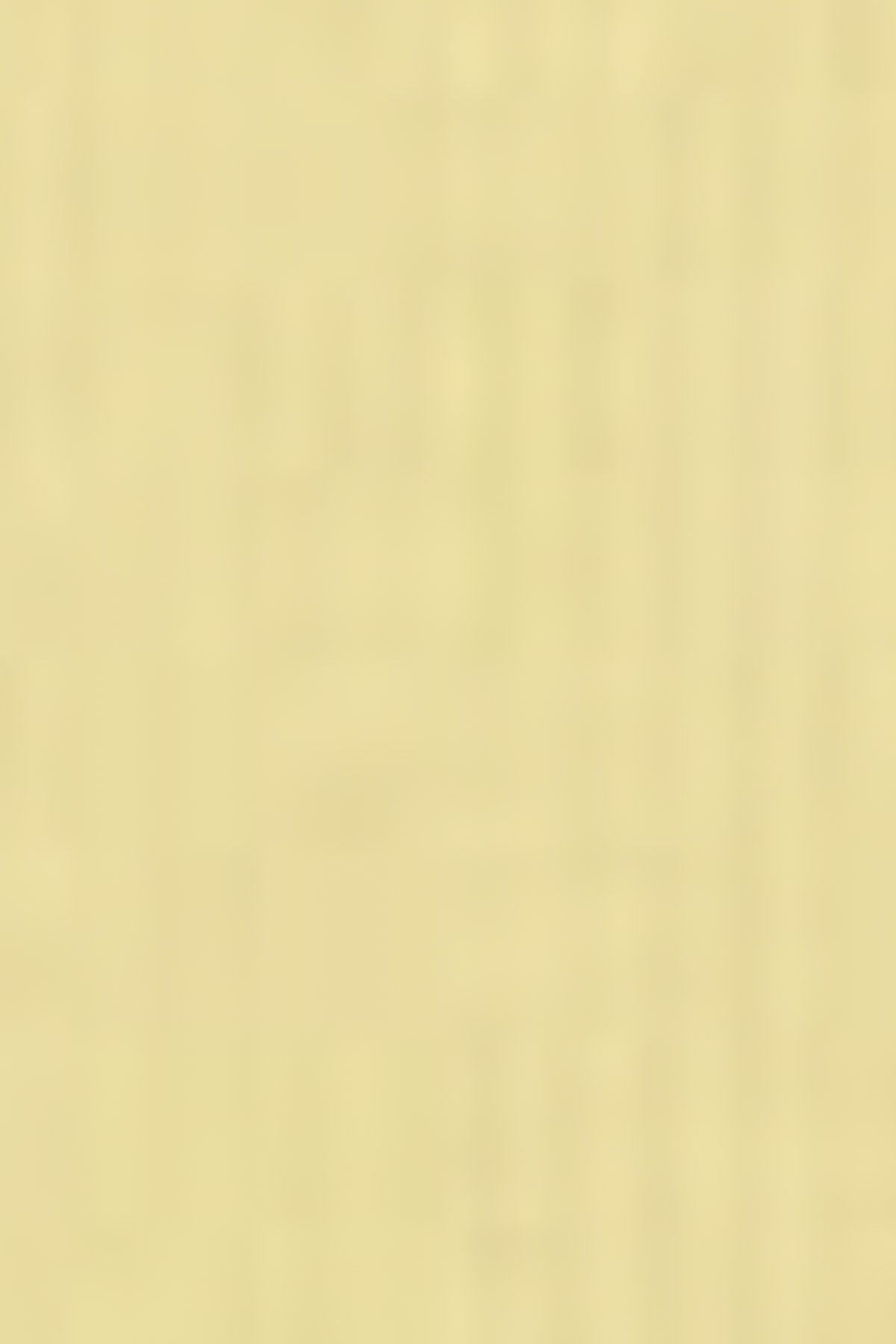 kadin-perfect-tee-lemon-meringue-sari--f-523a.jpg