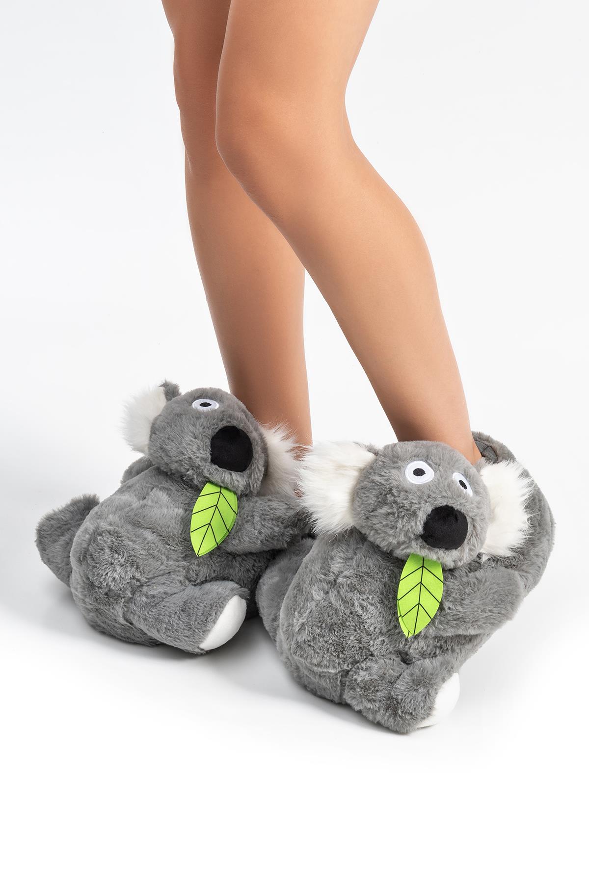 koala-kadingarson-boy-hayvanli-panduf--12d7e4.jpg
