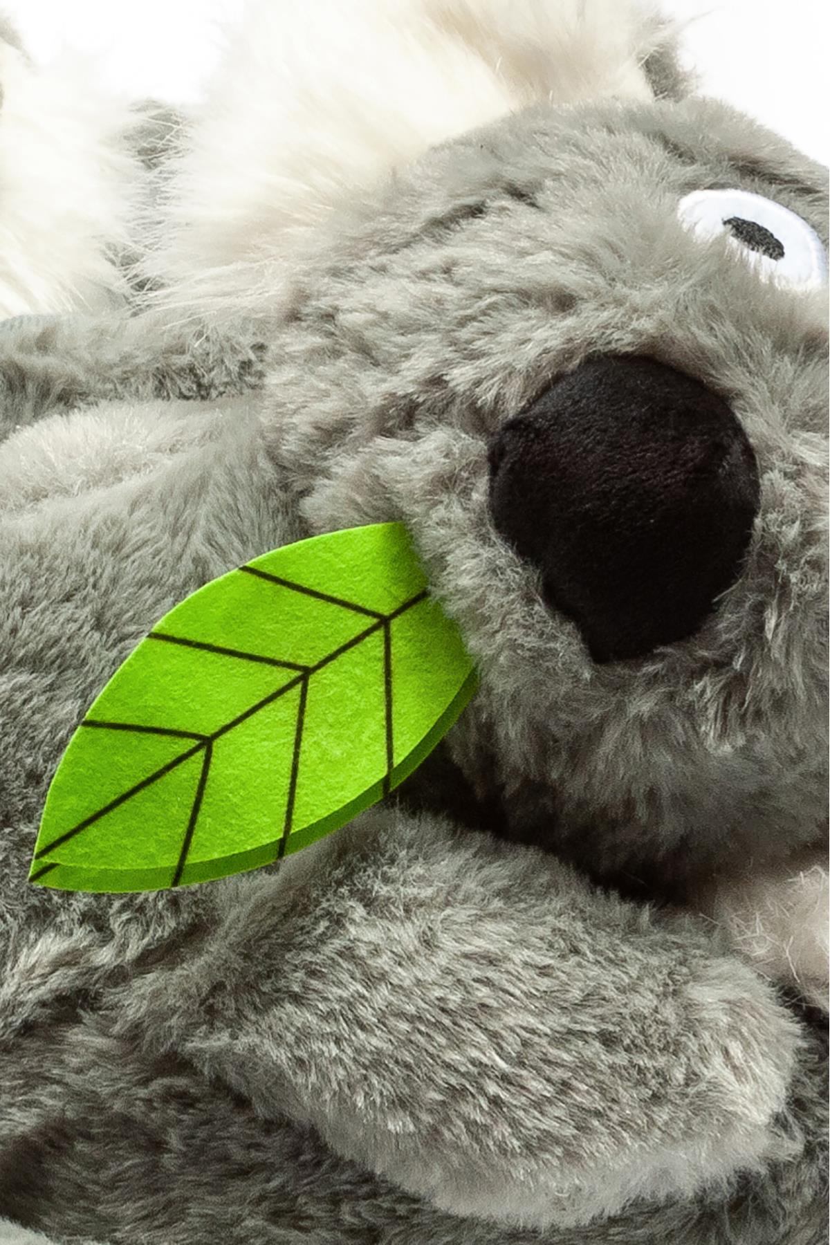 koala-kadingarson-boy-hayvanli-panduf--e0cd-e.jpg