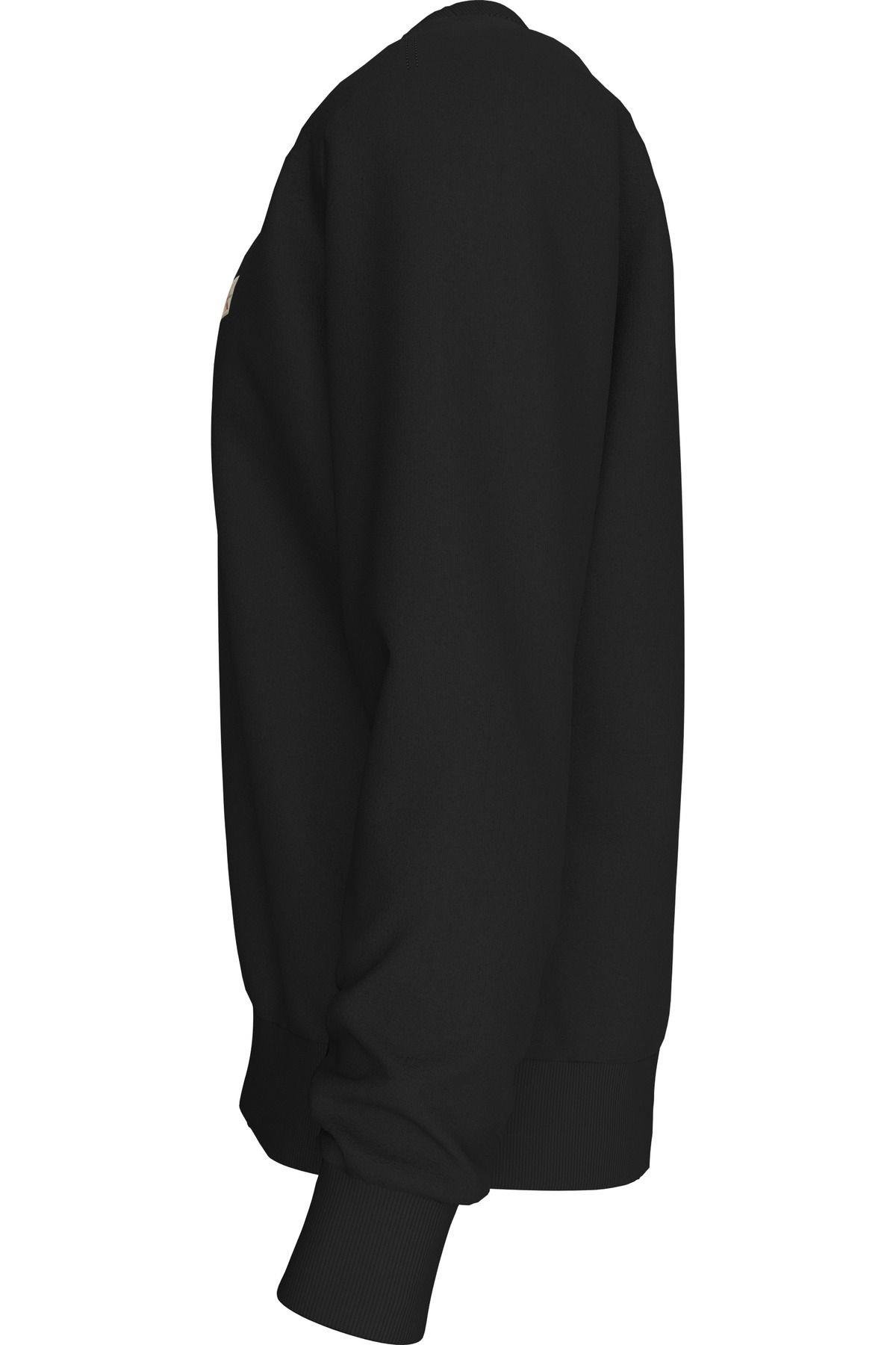 ls-eu-350terry-badge-crewneck-sw-erkek-6a6853.jpg