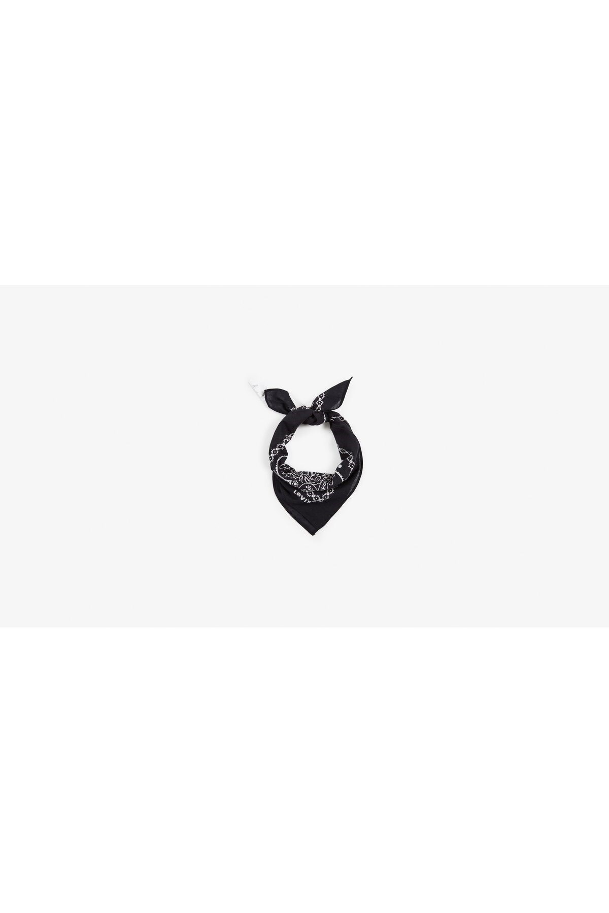 paisley-unisex-bandana-4fda8f.jpg