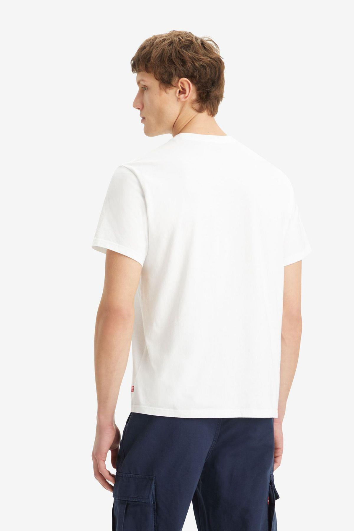 relaxed-fit-short-sleeve-graphic-erkek-b0c859.jpg